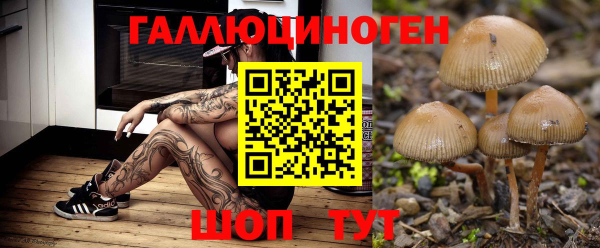 Качканар  Галлюциногенные грибы MAGIC MUSHROOMS  Вход с VPN 
