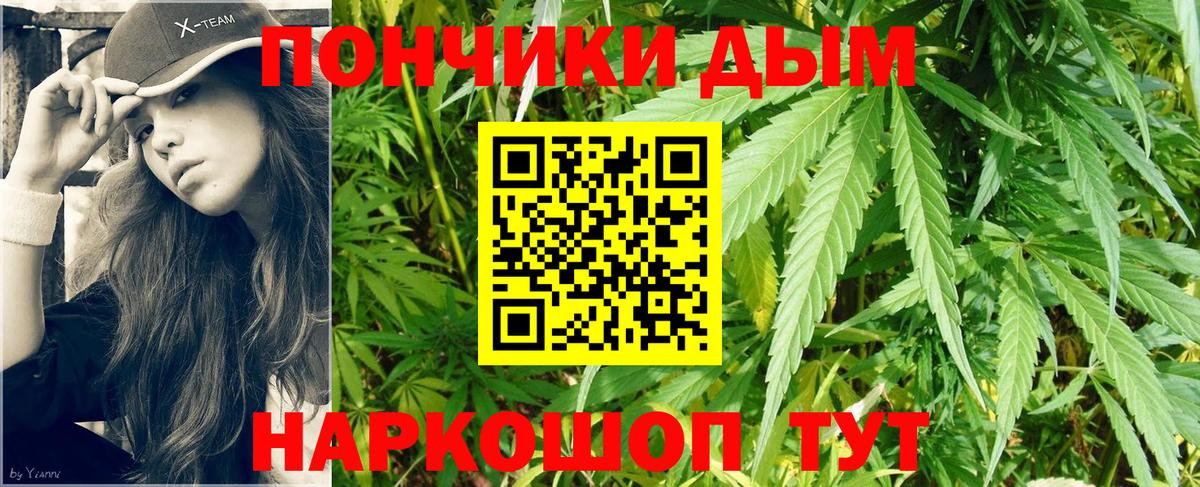 Каннабис план  Шишки марихуана SATIVA & INDICA  Качканар  Вход с VPN 